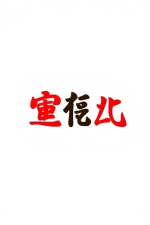 作品《一票之差定格在午夜》封面